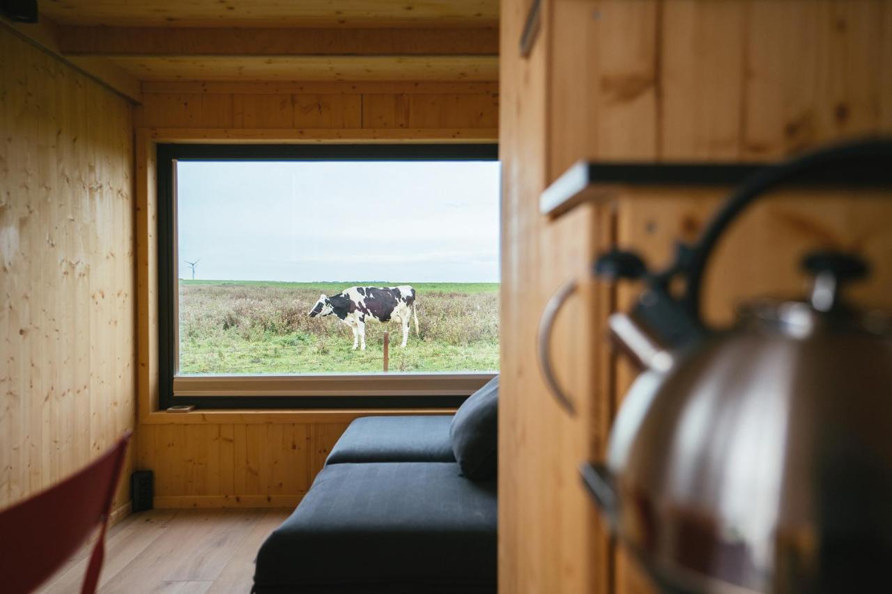 Tiny House Nature 9 Zur Kuhweide - Green Tiny Village Harlesiel Carolinensiel Exterior photo